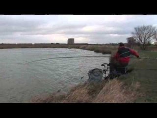 Maver 800 Competition pole test