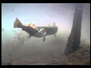 Feasting pike by Jeff Coultas