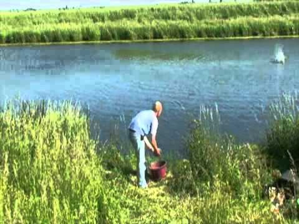 Prebaiting part 4