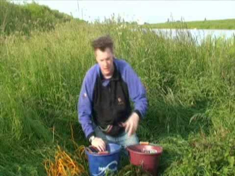Prebaiting - part 2