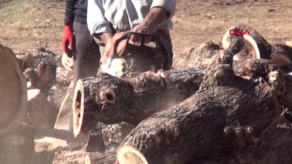 Bitlis Kömür Fiyatlarındaki Artış, Odunculara Yaradı