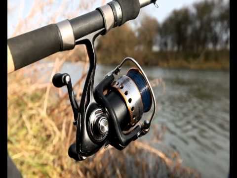 Live test - Daiwa TDM 3012 reel