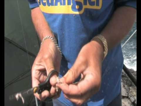 Sea Angler on safari