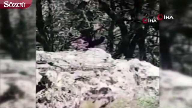 Şırnak’ta teröristin yakalanma anı kameraya yansıdı