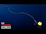 How to tie the line aligner rig