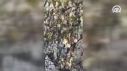 Teröristin yakalanma anı kamerada