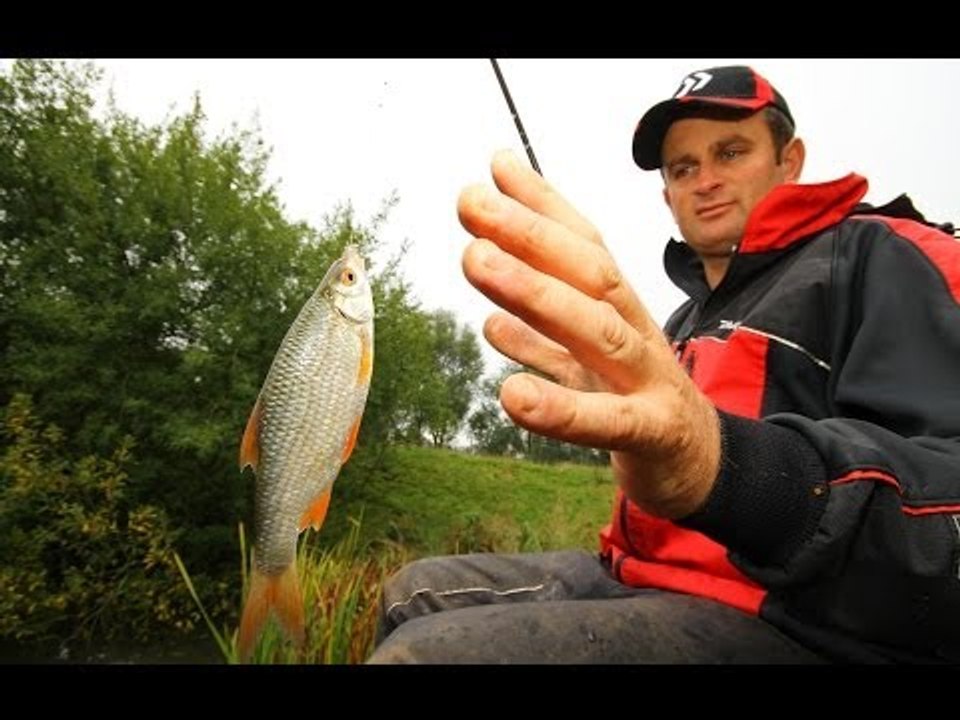 Steve Ringer's Skills School - How to catch 20lb of roach