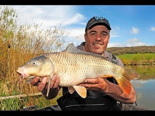 Des Shipp - Island Tactics