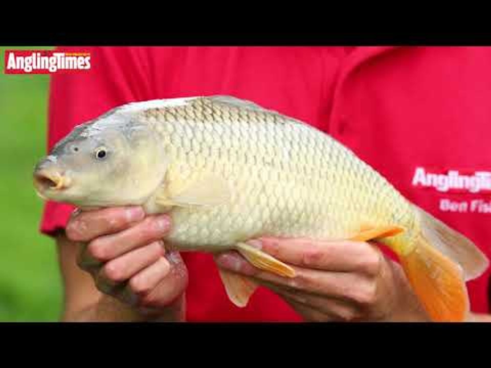 METHOD FEEDER FISHING with the Maver Reality 10ft Feeder Rod REVIEW