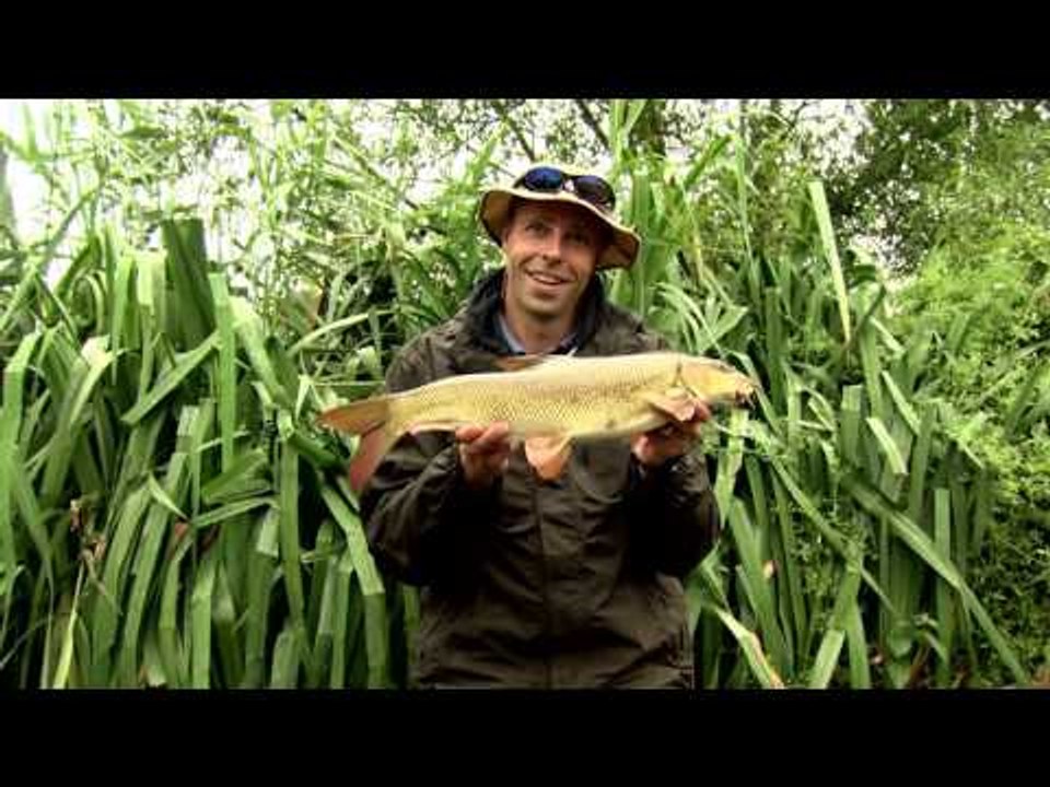 Fishing Gurus 2015 trailer