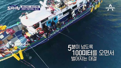 역시 마닷! 크고 아름다운 참돔(大)!!! 도시어부에는 슬픈 전설이 있어... '63의 저주'