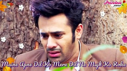 Mene apane dil ko roka hindi song