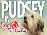Ashleigh teaches your dog to be just like Pudsey from Britain's Got Talent 2012