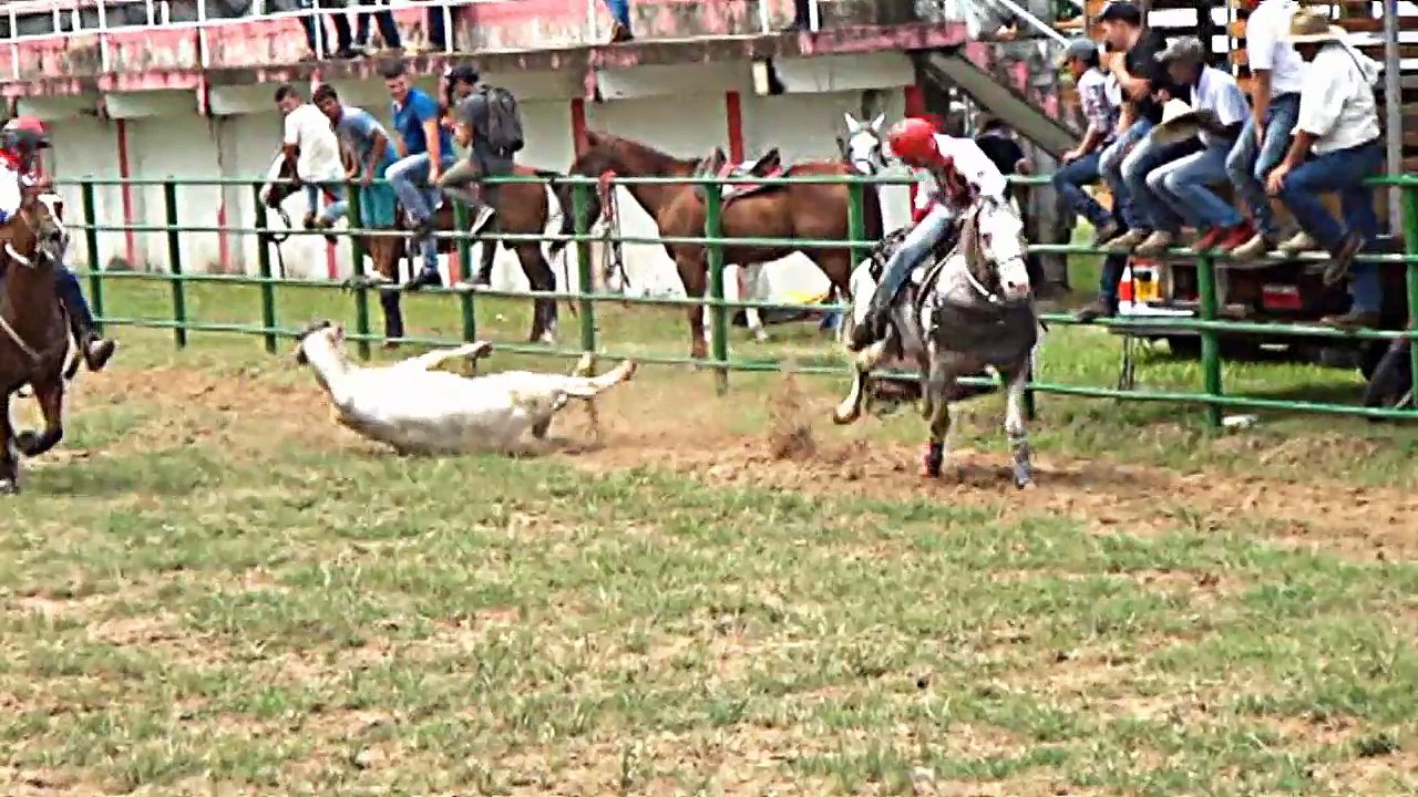 7º COPA JOROPO LLANO Y COLEO