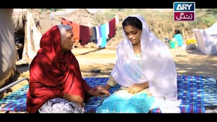 Saheliyaan Episode 85 & 86 - on ARY Zindagi in High Quality 1st November 2018