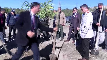 Hükümlüler Erzincan'da Fidan Dikti