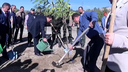 Hükümlüler Erzincan’da fidan dikti