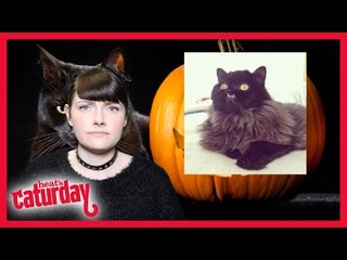 Caturday Spooktacular Halloween Special