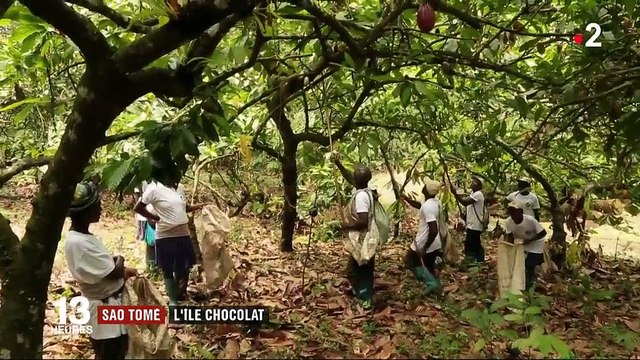 Sao Tomé-et-Principe : l’île chocolat