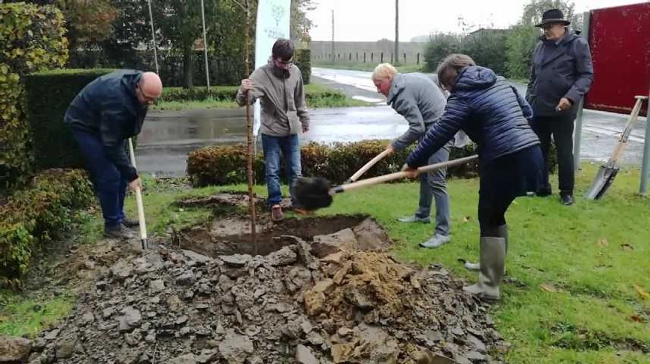 Lancement symbolique du "Mois de l'Arbre en Wallonie picarde", à Estaimbourg