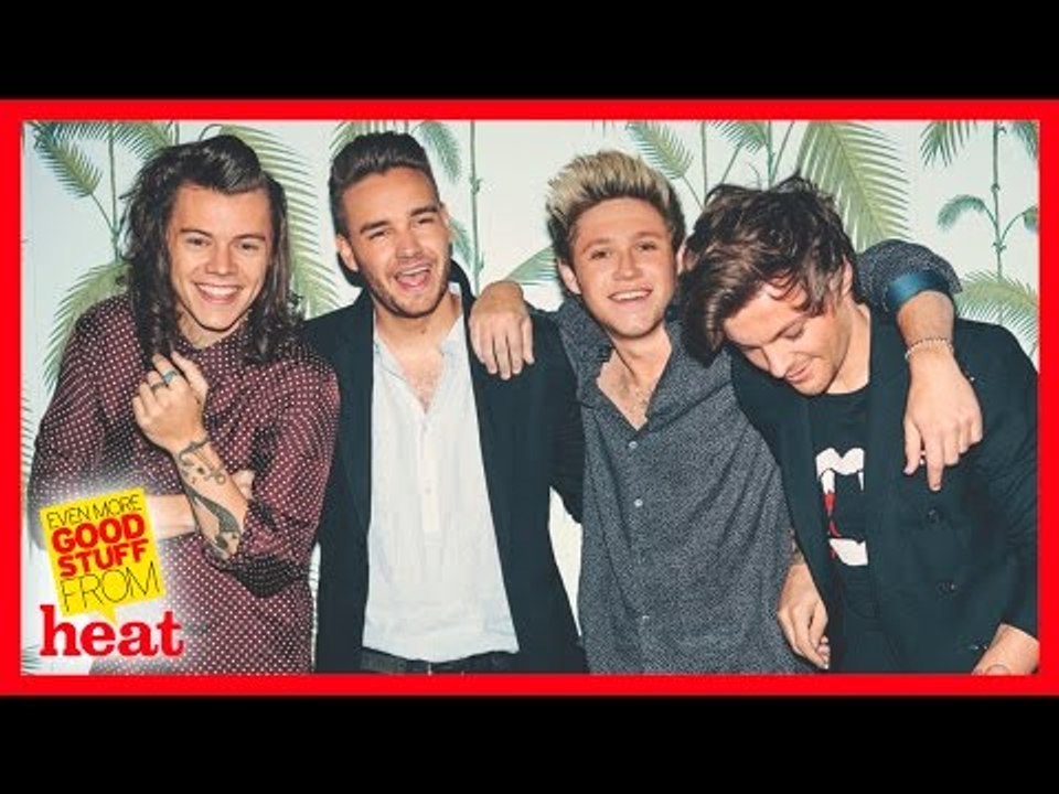 One Direction WILL disband in March