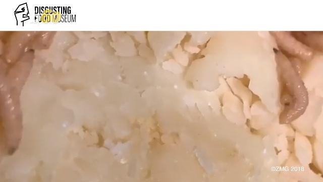 The 'Disgusting Food Museum' Will Let You Try (and Probably Throw Up) Gross Foods From Around the World