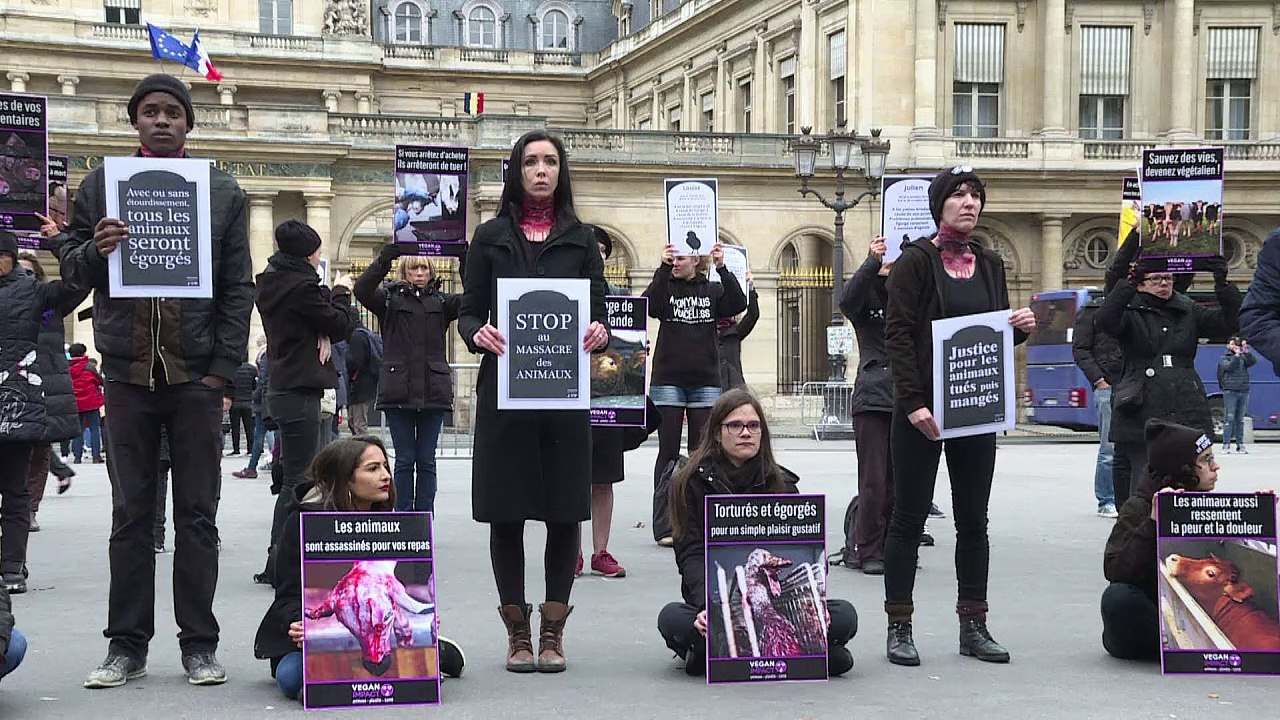 Paris: action de militants vegans contre l'abat...