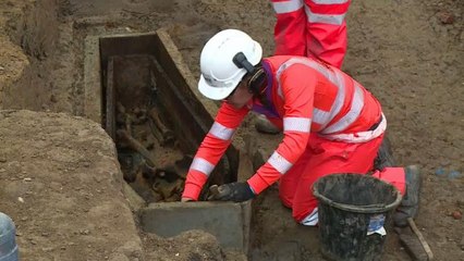 Video | İngiltere'de hızlı tren hattı inşasından bin 200 iskelet çıkarıldı