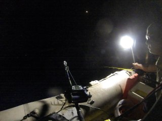 pêche au moulinet électrique