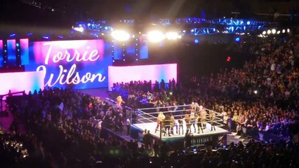 IIconics (Billie Kay and Peyton Royce) entrance - WWE Evolution