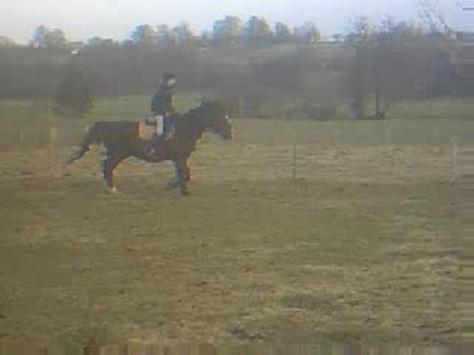 Moi au trot