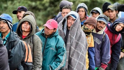 Democrats Invite Illegal Immigration for the Votes