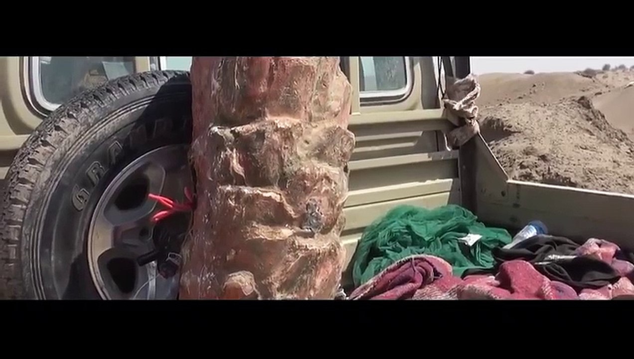 الحوثيون يستخدمون عبوات ناسفة على شكل جذوع النخيل فى اليمن