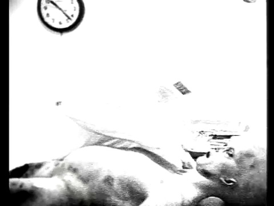 Alien Autopsy - The Footage