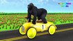 Learn Colors Toy Car With Wild Animals Names For Kids Children
