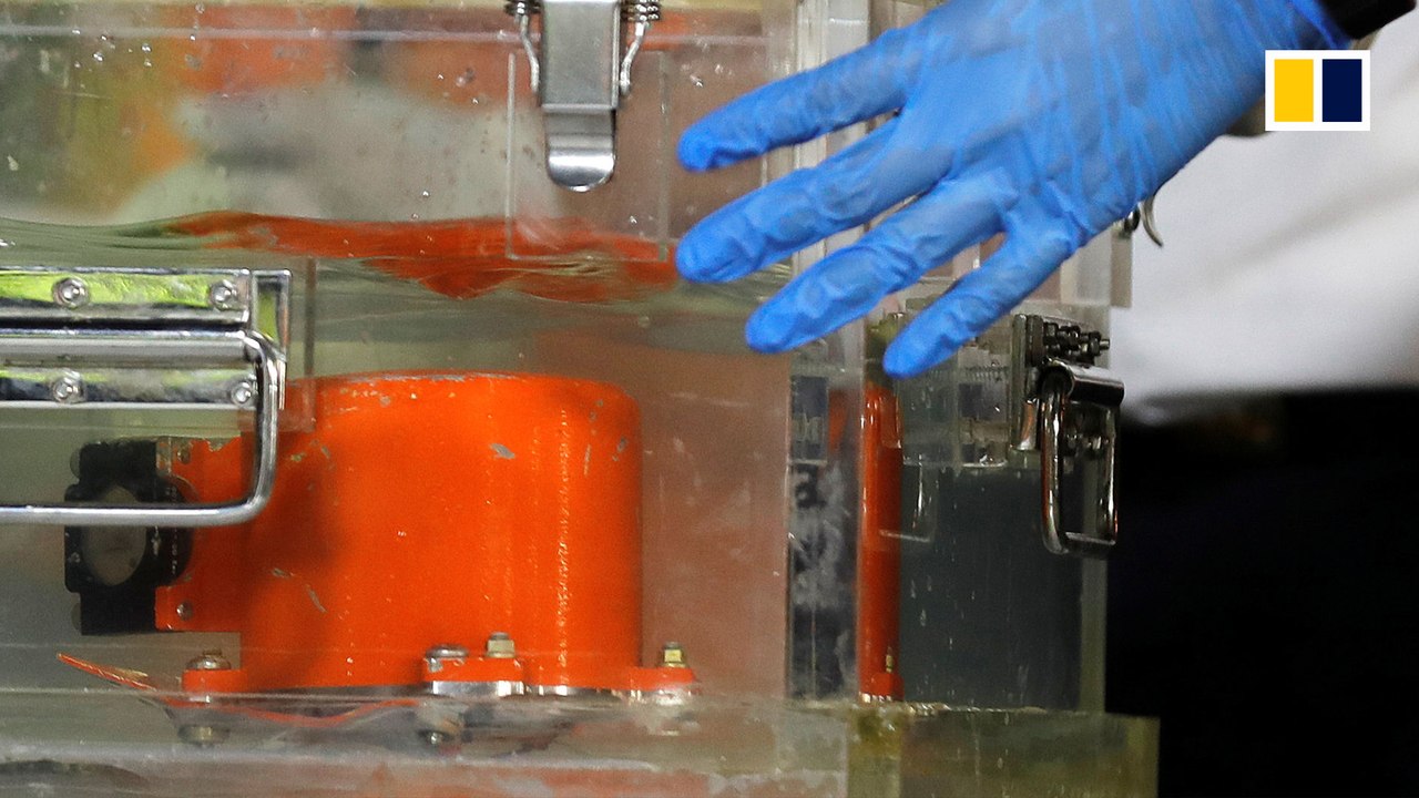 ‘Black box’ of crashed Lion Air jet found