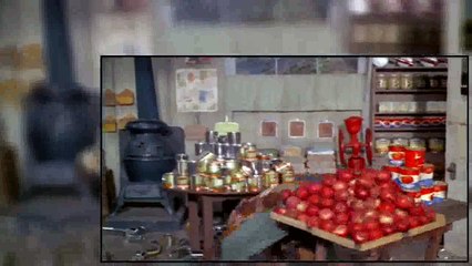 Green Acres S02E08 Eb Discovers the Birds and the Bees