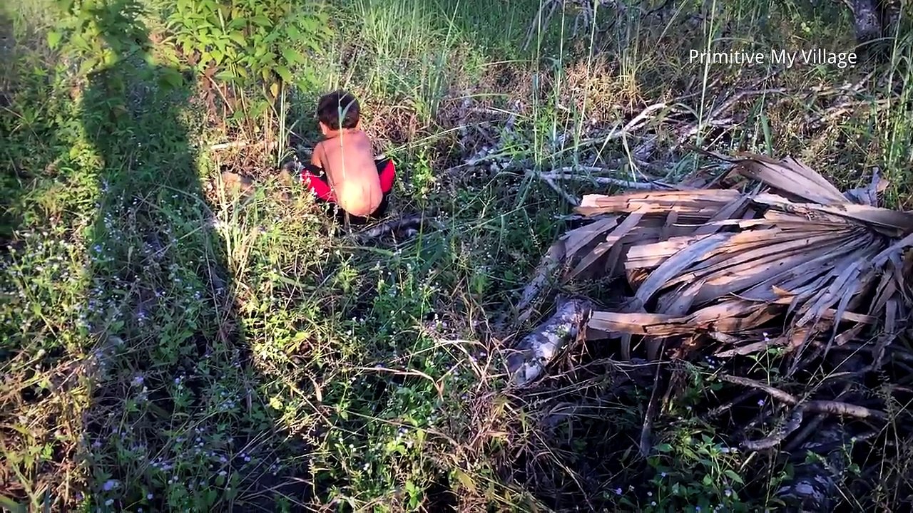 Primitive Technology - Eating delicious - Find and cooking snail in forest