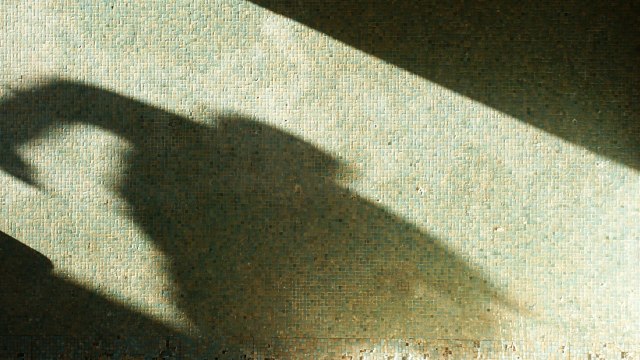 물 한 잔만 어린이 따라 들어가 금품 훔친 20대 구속 / YTN