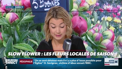 Dupin Quotidien : Slow flower, les fleurs locales de saison - 02/11
