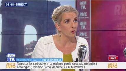 Européennes: "La seule liste nécessaire serait conduite par Nicolas Hulot"