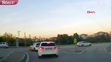 Köpeği araca bağlayıp dakikalarca ilerledi