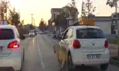 Bu görüntüler sosyal medyada tepkilere neden oldu