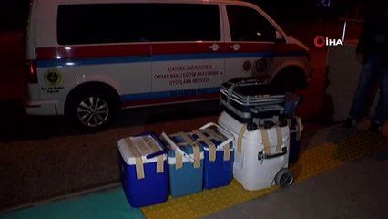 2 Çocuk Annesi Organlarıyla 4 Kişiye Umut Oldu