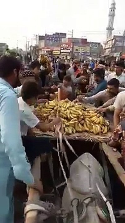 بلا عنوان