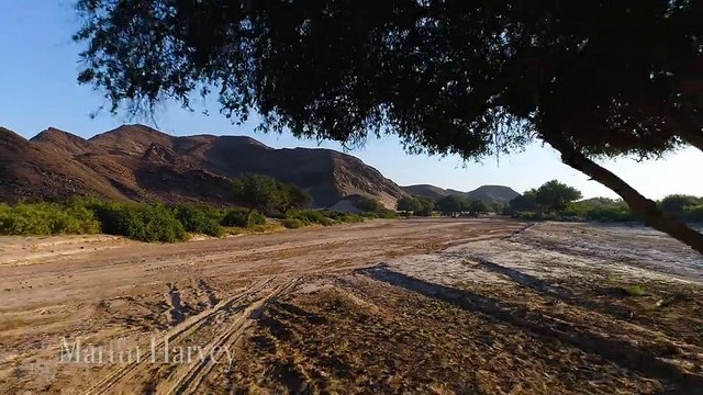 The Hoanib River - Desert Elephants in Koakoland. Namibia