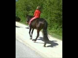 1er montage_0001