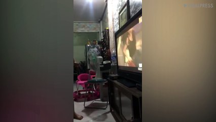 Woman Gets Carried Away Watching TV Drama