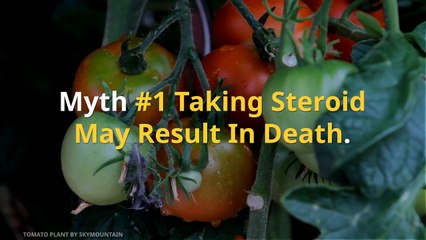 Are You Heard These Myths about Anabolic Steroid Usage