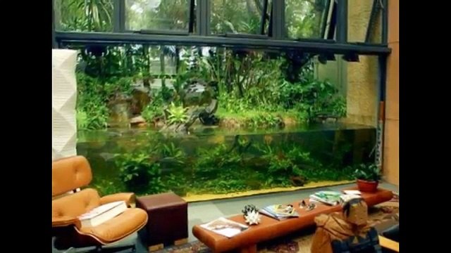 Home Style Ideas & Aquarium Fish Ideas - Creative Home Design